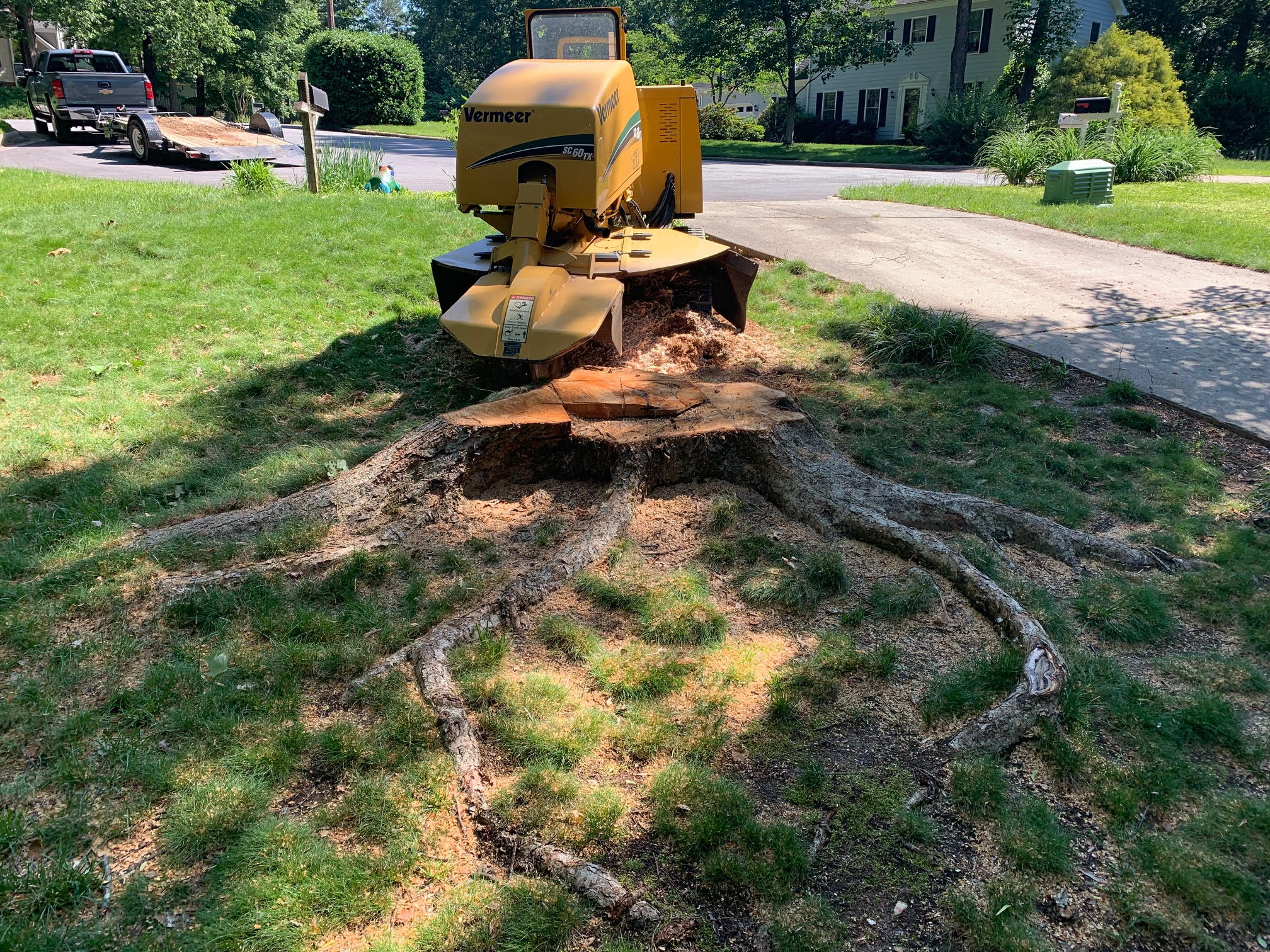 Cary Stump Grinding